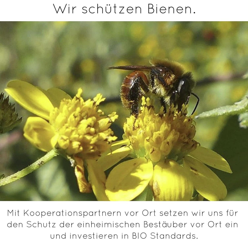 Pulbere de vanilie premium din boabe de vanilie reale, naturală, fără zahăr, fără aditivi, Fairtrade, vegană (40G fără cutie) De la Vanilla Campaign® Arome Naty Shop