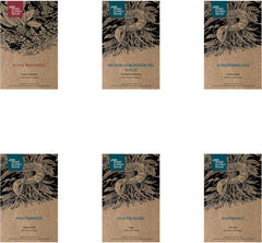 Magic Garden Seeds - Selbstgemachter Kräutertee - Samen Geschenk Set Mit 6 Wohltuenden Kräutersorten - Anzuchtset Mit Pfefferminze, Zitronenmelisse, Salbei, Bergminze, Eisenkraut Und Gewürzfenchel
