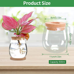 Hydroponická rostlinná pěstovací stanice, 12 x 11 cm, váza se semeny avokáda, skleněný květináč, skleněná hydroponická váza pro vodní rostliny nebo květiny, kancelářský stůl, 2 kusy