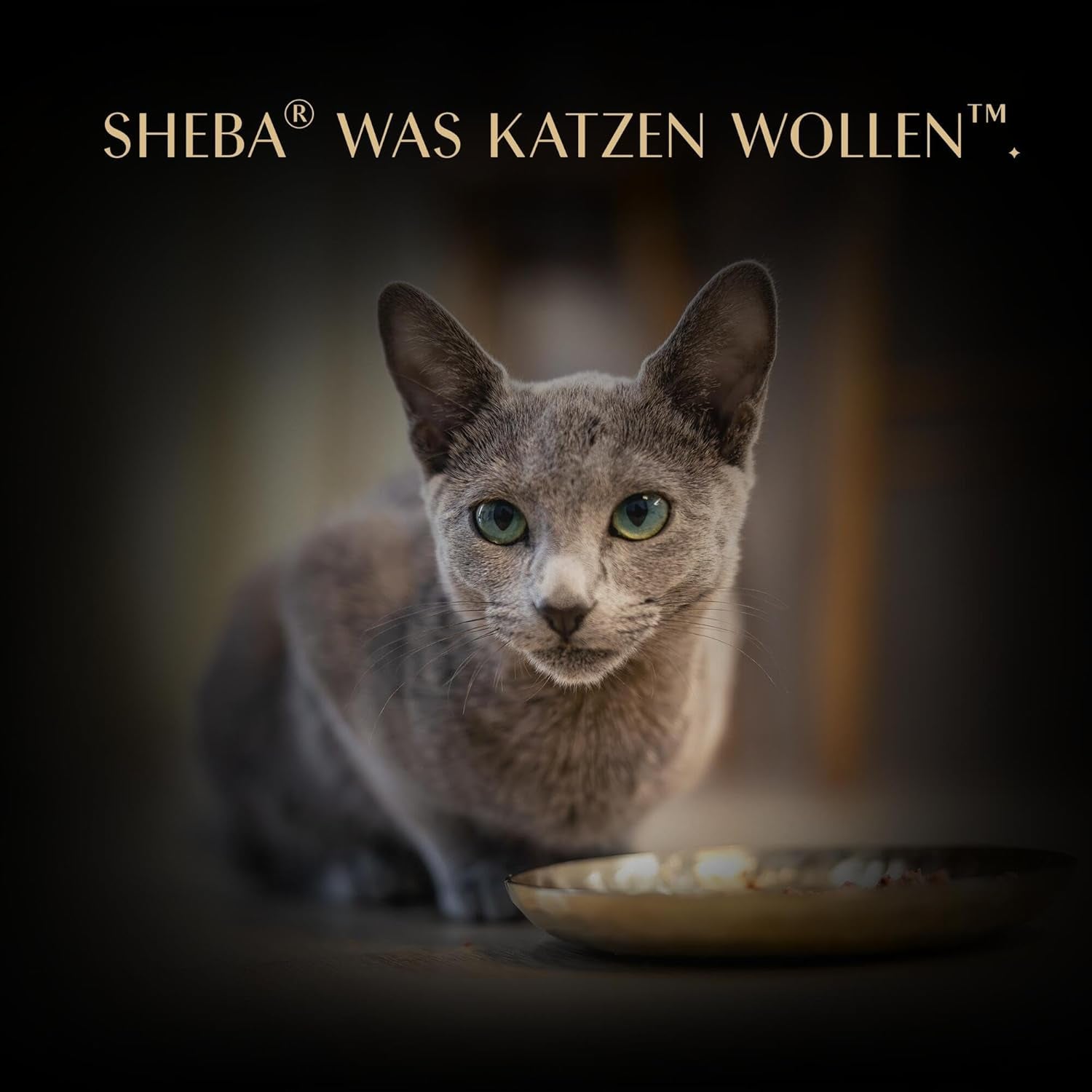 SHEBA Filets Adult Katzenfutter in Sauce mit Huhn, Hochseefisch und Garnelen 16 x 60g Schale