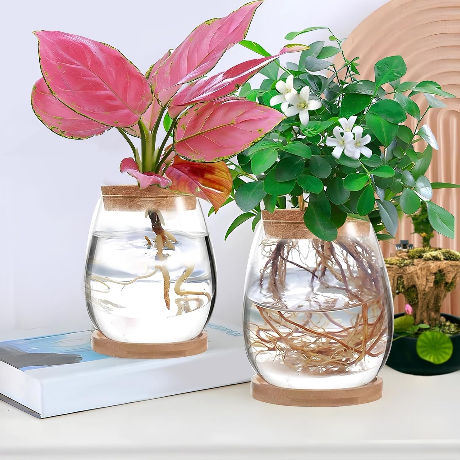 Hydroponická rostlinná pěstovací stanice, 12 x 11 cm, váza se semeny avokáda, skleněný květináč, skleněná hydroponická váza pro vodní rostliny nebo květiny, kancelářský stůl, 2 kusy