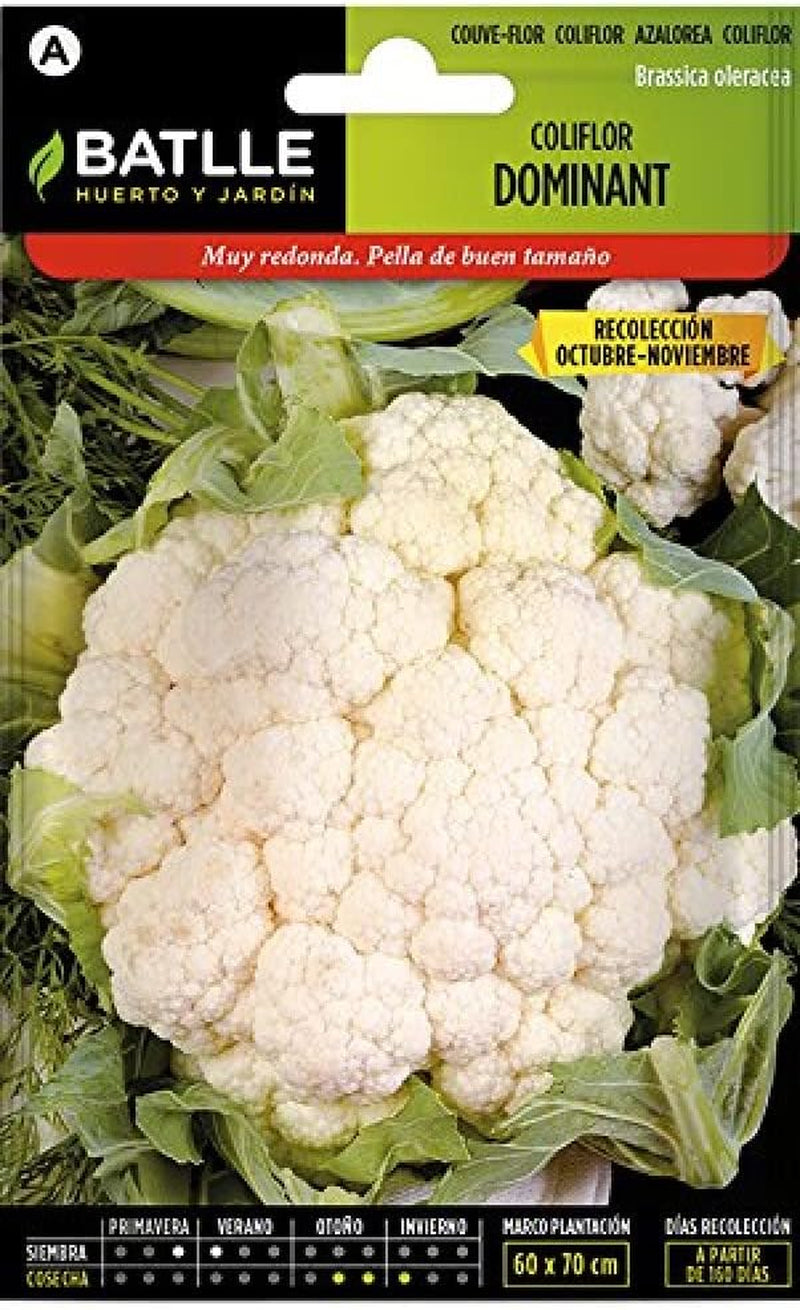 Batlle Gemüsesamen - Blumenkohl Dominant Weiss (1050 Samen)