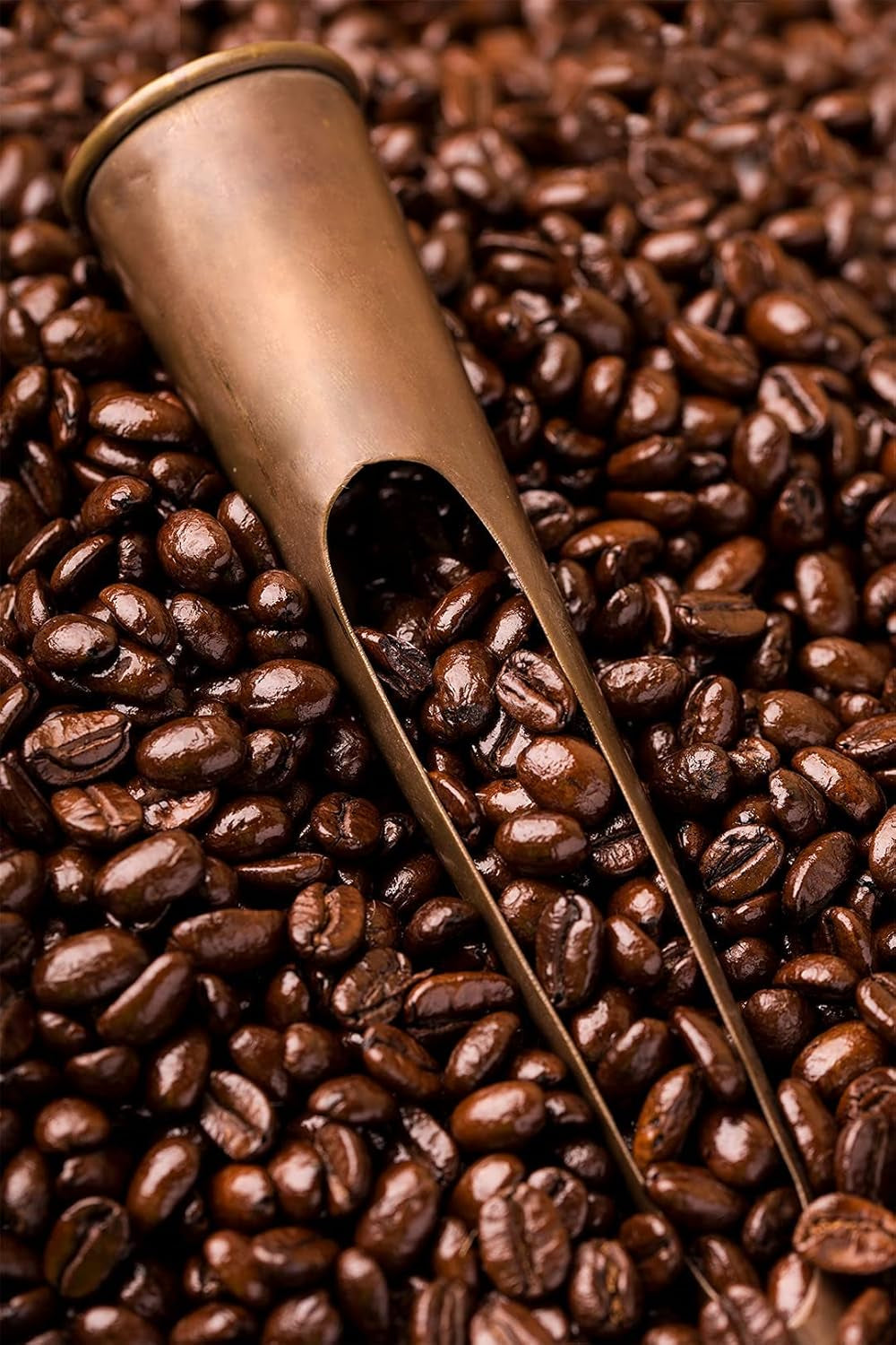 Caffè Barbera - Kit de cafea cu 3 amestecuri - 1870