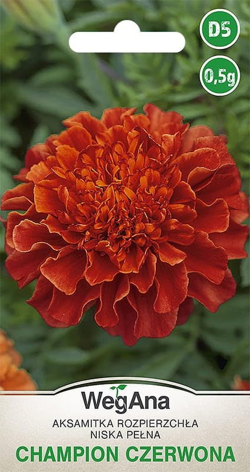 Cosmos Sensation Mix 1g semínek, Cosmos Mix Letní květiny, Zahradní rostliny Balkonové rostliny, Květinová semena