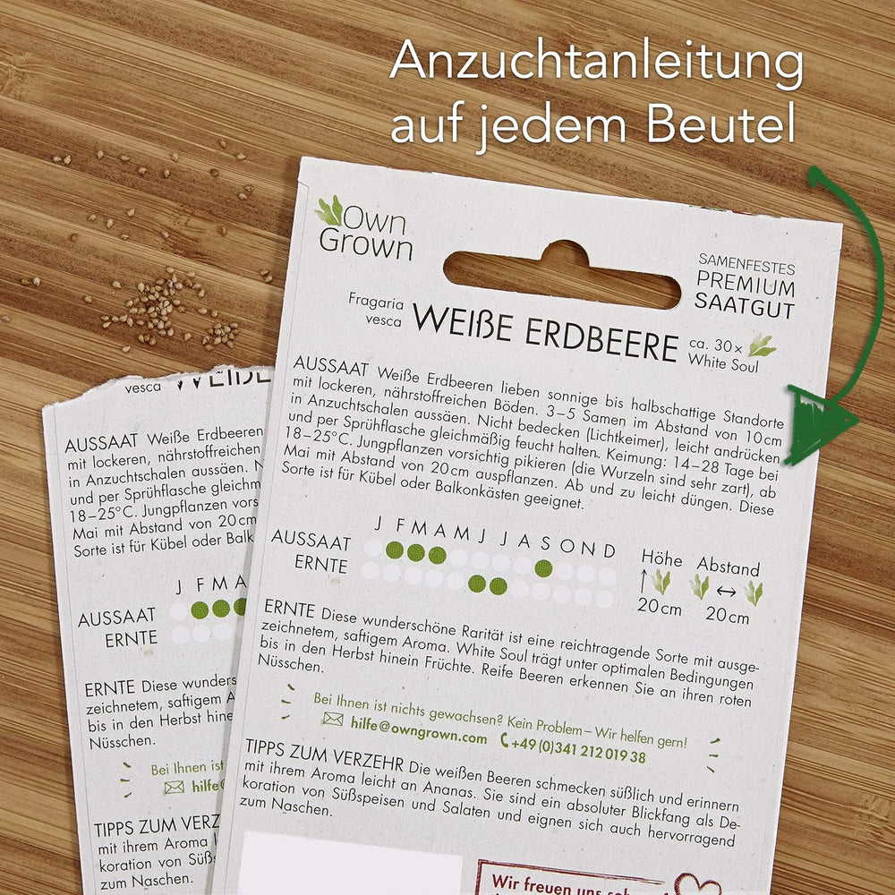 Sada ovocných semínek: Prémiová zahradní semínka s 8 odrůdami ovocných rostlin pro zahradu a balkon - semínka melounu, jahodová semínka, angrešt, rebarbora a další - Dárková sada ovocných semínek od OwnGrown