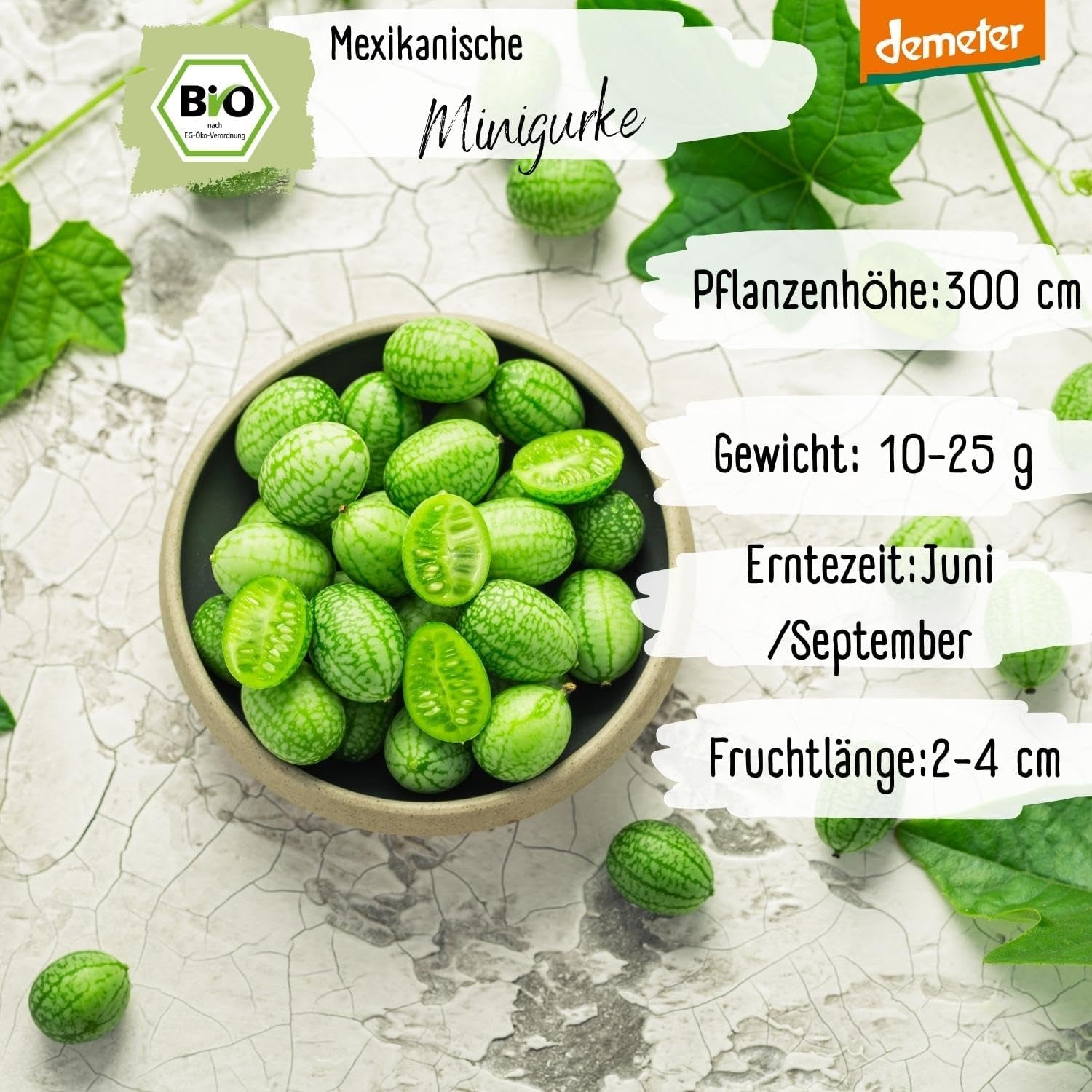 Bio mini semena mexické okurky, 10 svačinových semen okurky, vysoká klíčivost, certifikace Demeter a otevřená opylování | LOVEPLANTS Semena zeleniny na balkónové zahradě - dědičné odrůdy zeleniny