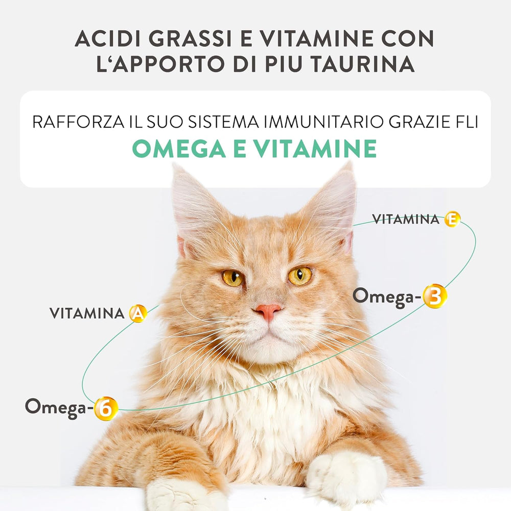 Silver, Pui cu Mousse de Rață și Fileuri, Hrană Umedă Completă pentru Pisici Senior, Fără Cereale, Suport Imunitar, Sursă de Umiditate, 12 x 70g