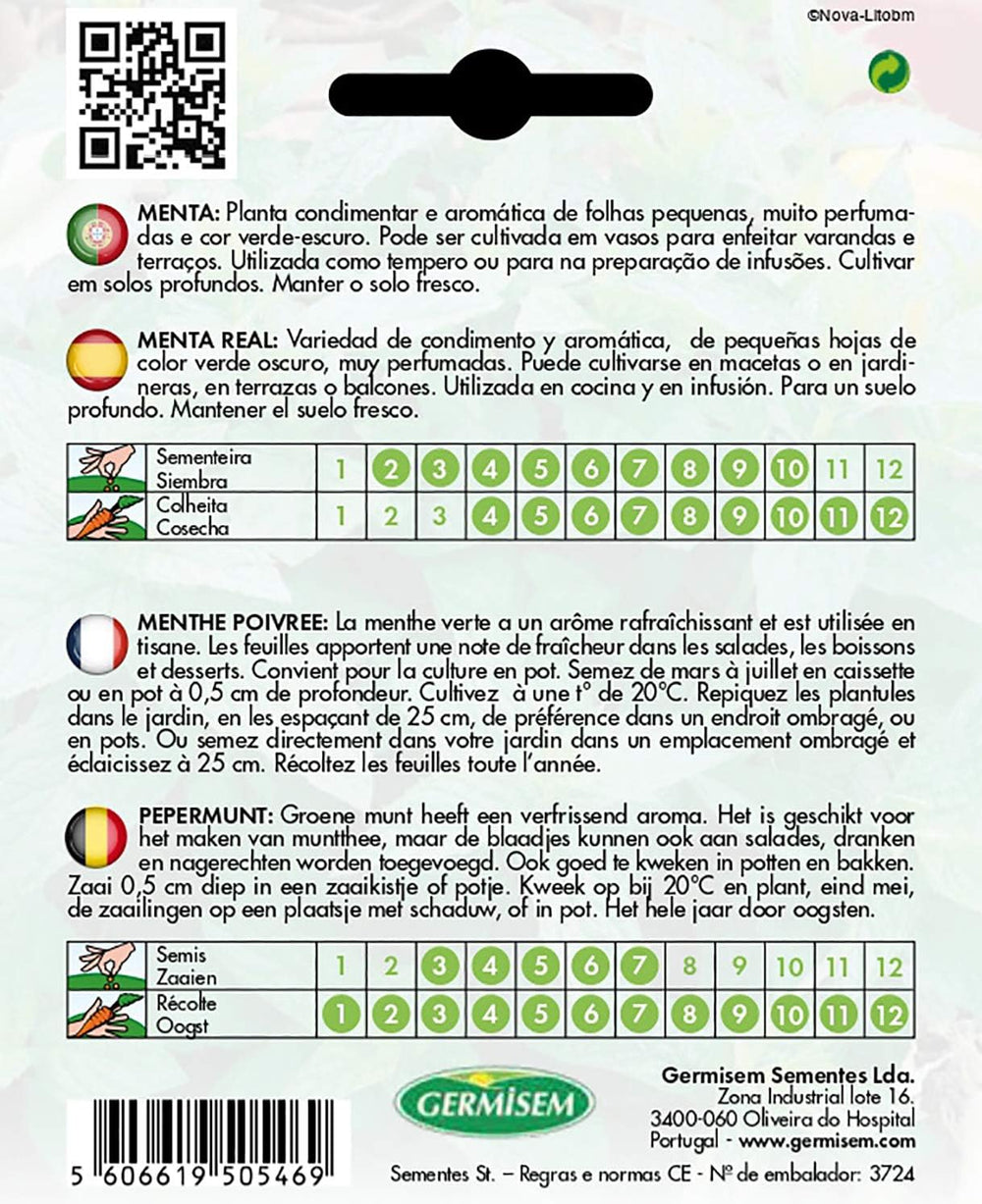 Pfefferminze MENTHA PIPERITA, Mehrfarbig, EC1109