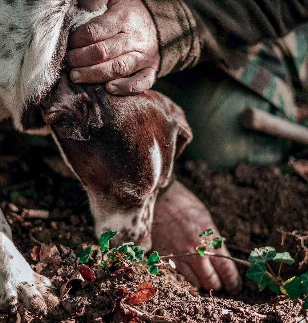 - Koncentrát s příchutí černý lanýž 30 ml, profesionální použití Arome Naty Shop