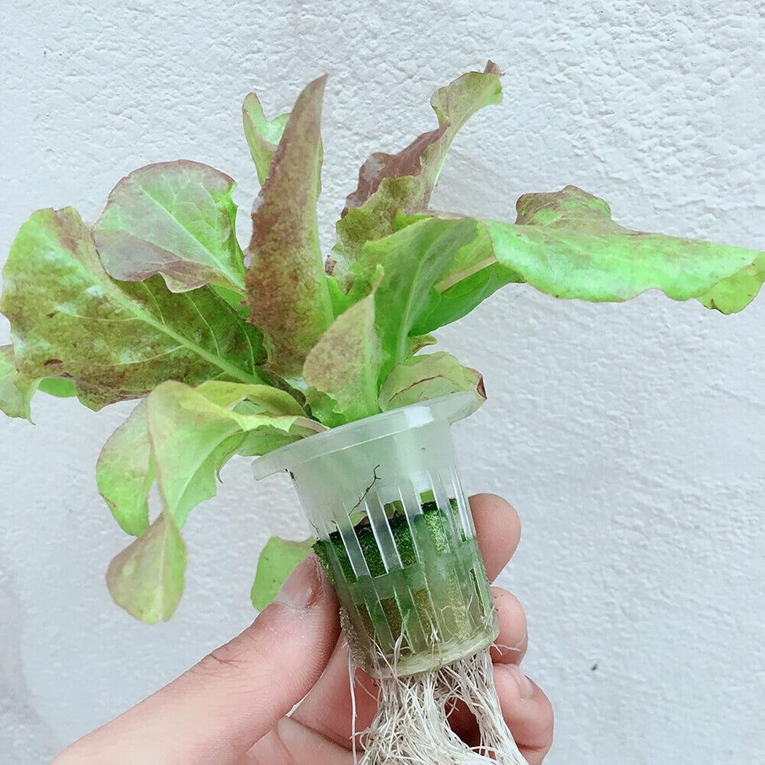 Sada pro hydroponické pěstování PVC Systém pro hydroponické pěstování 2 vrstvy 72 otvorů Sada pro hydroponické pěstování Sada pro pěstování bez půdy Systémy pro pěstování rostlin bez půdy Bezpůdní systém pro hydroponické pěstování ve vodě