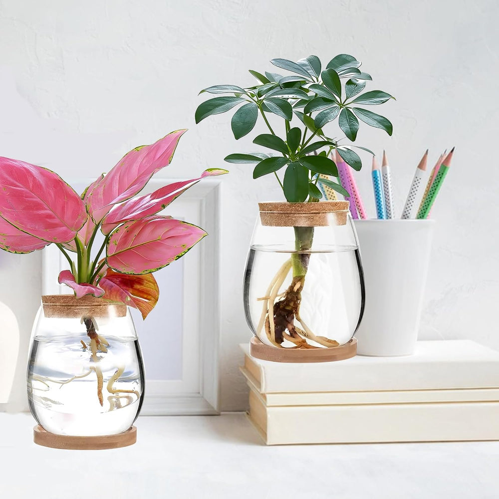 Hydroponická rostlinná pěstovací stanice, 12 x 11 cm, váza se semeny avokáda, skleněný květináč, skleněná hydroponická váza pro vodní rostliny nebo květiny, kancelářský stůl, 2 kusy