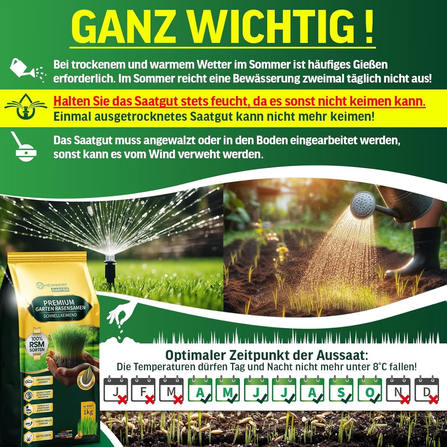 Rasensamen Schnellkeimend Sommer Und Herbst All Saison - Grassamen - Rasensamen Sport Und Spiel Aus Hochwertigster Gräser Mischung Empfohlener RSM Sorten - 1Kg Für 40M2 Made in Germany (1Kg)