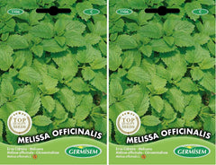 Zitronenmelisse MELISSA OFFICINALIS (Packung Mit 2)