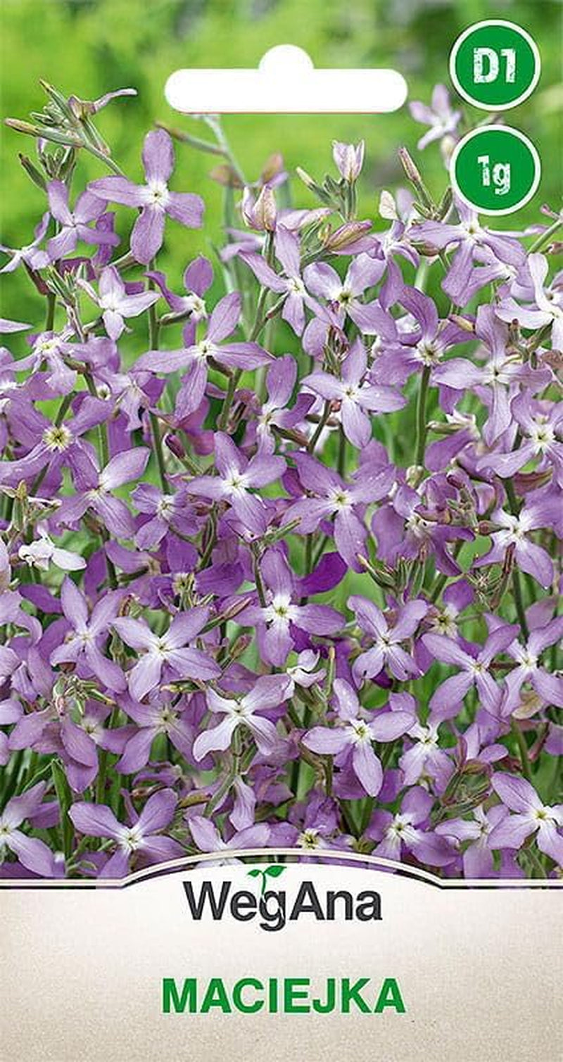 Cosmos Sensation Mix 1g semínek, Cosmos Mix Letní květiny, Zahradní rostliny Balkonové rostliny, Květinová semena