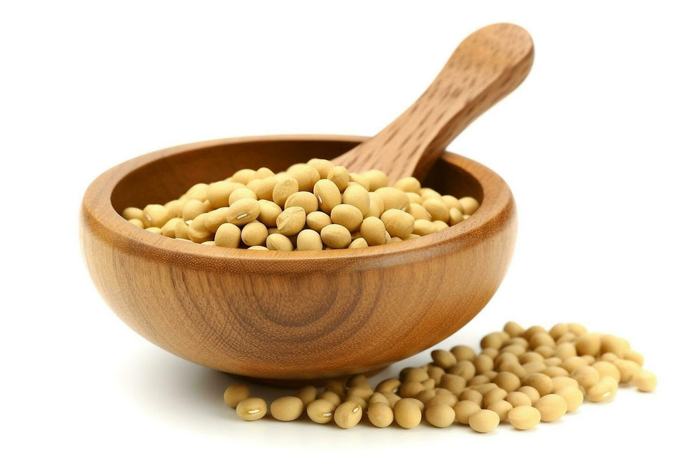 Speciální žlutá sója na tofu 5 kg bio