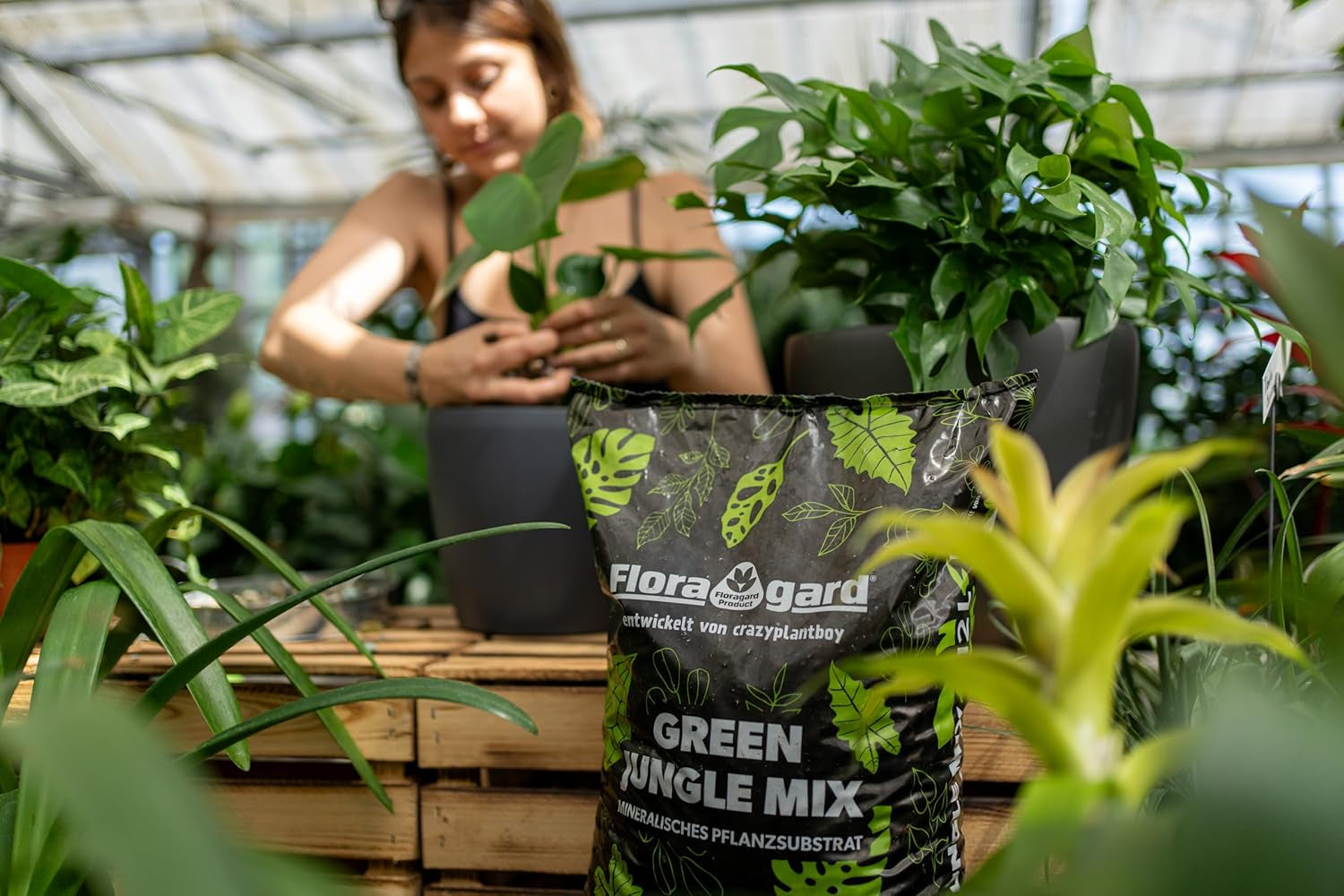 Floragard Green Jungle Mix 6 L - minerální substrát pro výsadbu Monstera, Filodendron - zajišťuje optimální drenáž a zdravý růst kořenů - ideální pro náročné pokojové rostliny