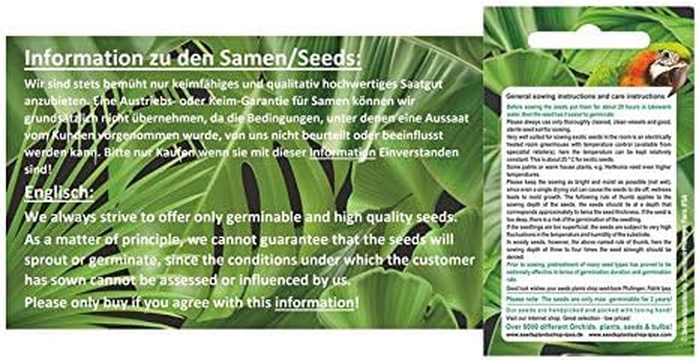 Stk - 10X Begonia Parviflora Baumbegonie Ziersträucher Garten Pflanzen - Samen ID344 -