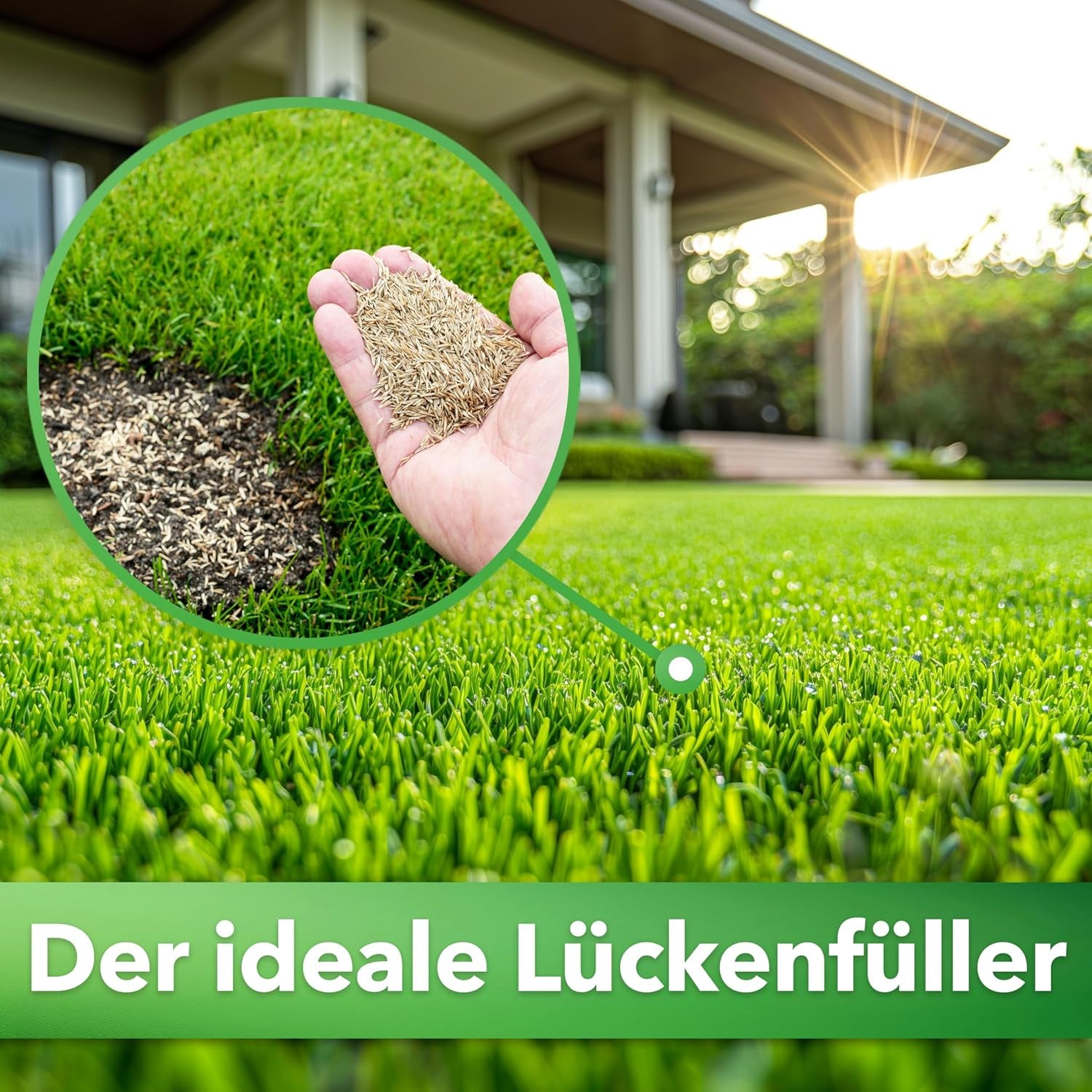 Hesa Nachsaatrasen, 1 Kg Für 35 M², RSM 3.2, Schnellkeimende Premium Rasennachsaat Von Frühling Bis Herbst, Rasenreparatur in Profiqualität