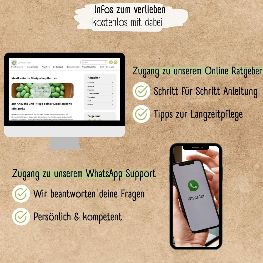 Bio mini semena mexické okurky, 10 svačinových semen okurky, vysoká klíčivost, certifikace Demeter a otevřená opylování | LOVEPLANTS Semena zeleniny na balkónové zahradě - dědičné odrůdy zeleniny