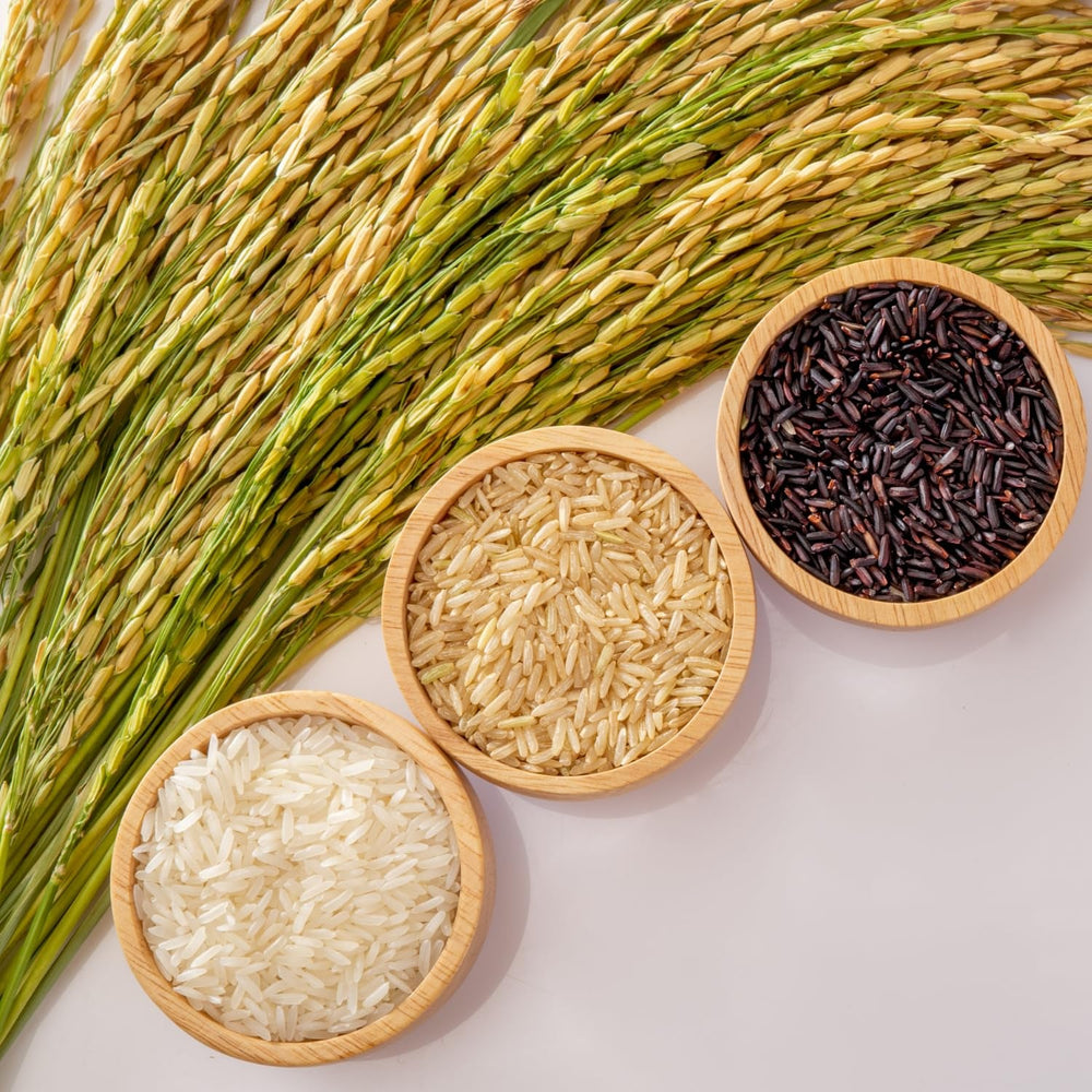 ROYAL THAI RICE - Orez cu bob lung și parfumat cu iasomie - 1 x 18 kg