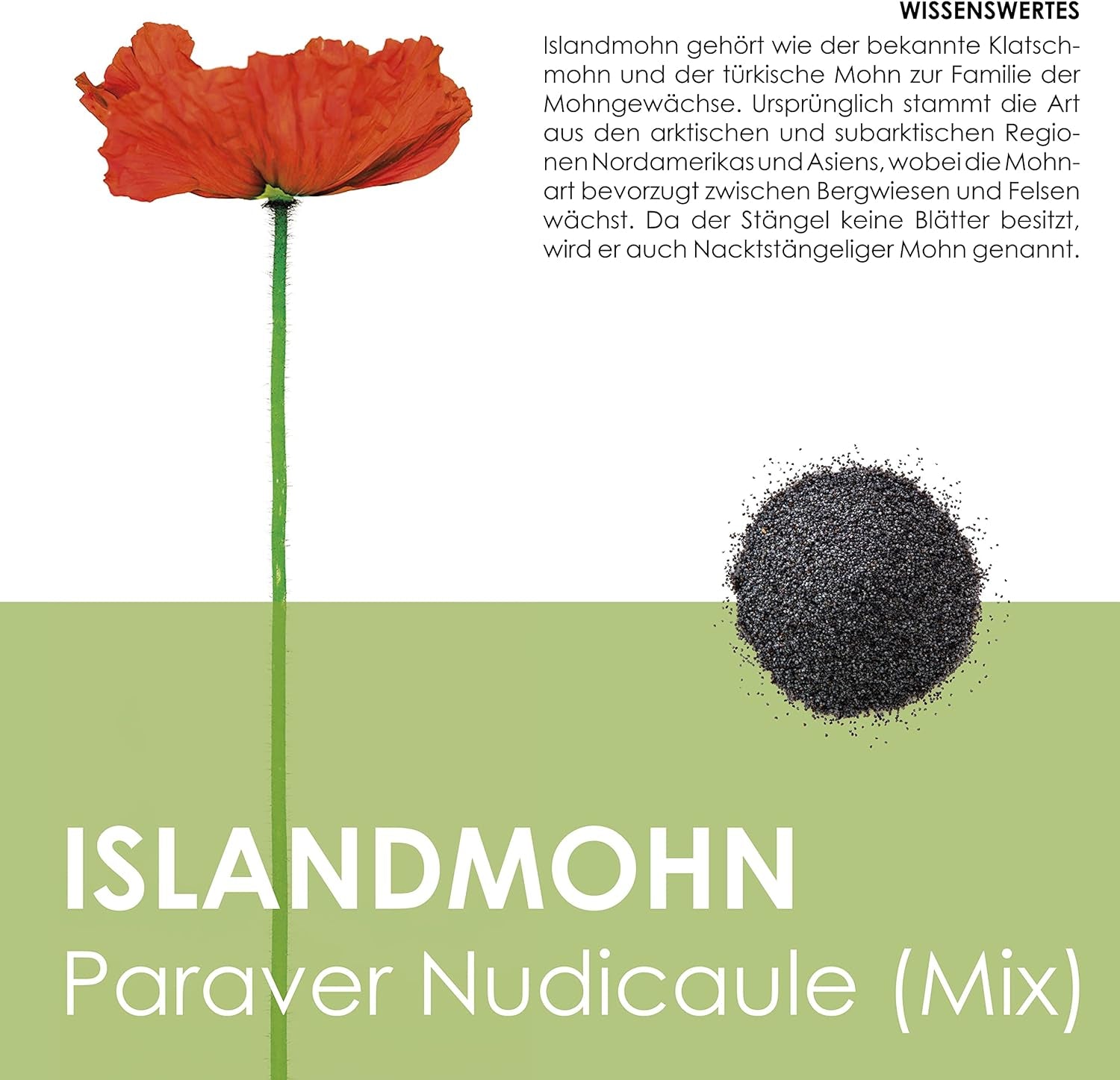 Směs islandského máku (Papaver nudicaule) - Krásně kvetoucí mák s dlouhou dobou květu pro barevnou květinovou louku (Island Poppy)
