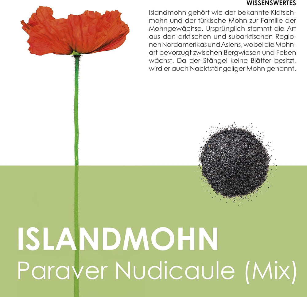Směs islandského máku (Papaver nudicaule) - Krásně kvetoucí mák s dlouhou dobou květu pro barevnou květinovou louku (Island Poppy)
