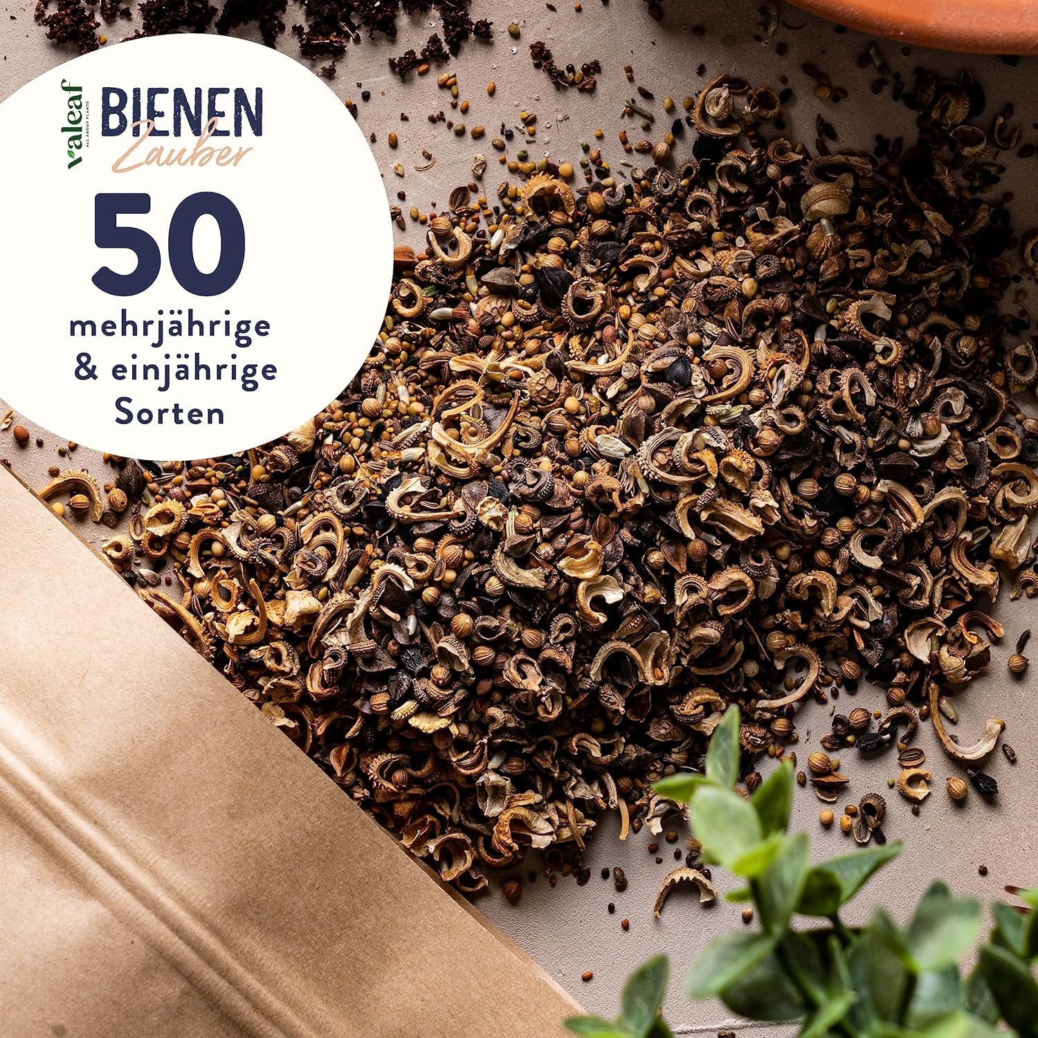 Blumensamen I 100G I 100M² Samen Mehrjährig Und Einjährig I Samen Für Bienen Blumenmischung I Wildblumensamen Für Balkonblumen Und Wildblumen I Bunte Bienenweide