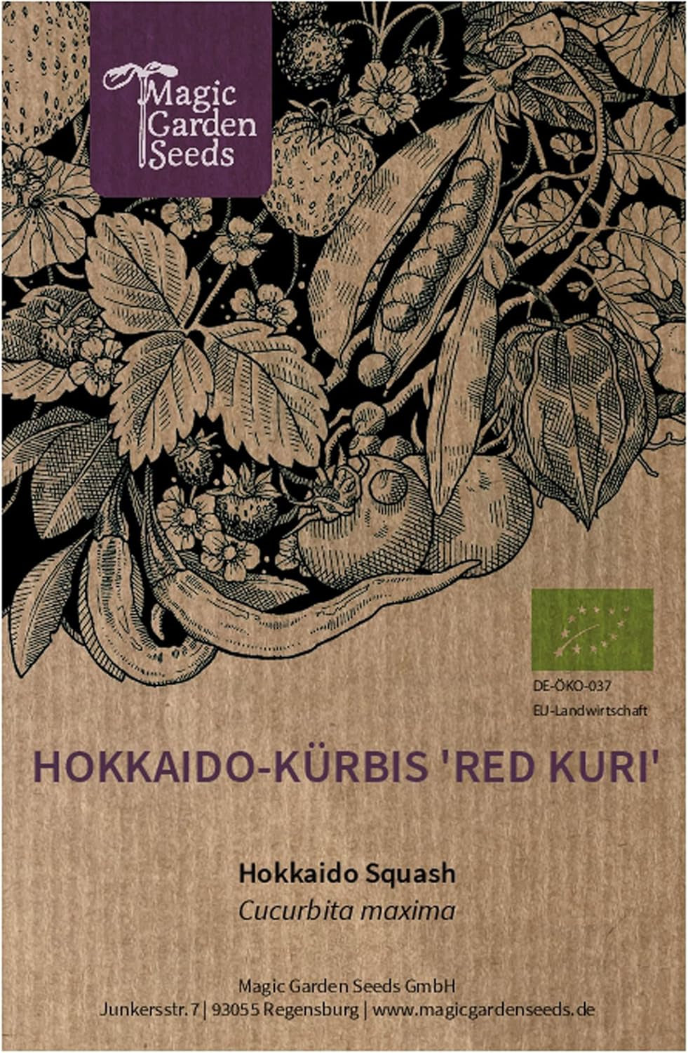 Hokkaido-Kürbis 'Red Kuri' (Cucurbita Maxima) Bio - Ca. 5 Samen