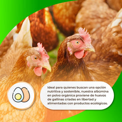 Sermand Nutrition Vaječný albumin 100% prášek bez lepku Bez laktózy