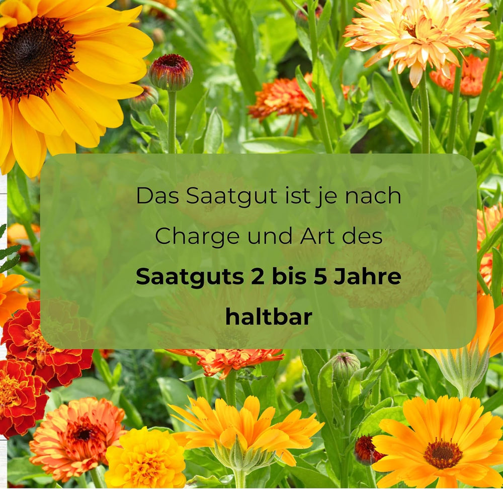 Cosmos Sensation Mix 1g semínek, Cosmos Mix Letní květiny, Zahradní rostliny Balkonové rostliny, Květinová semena