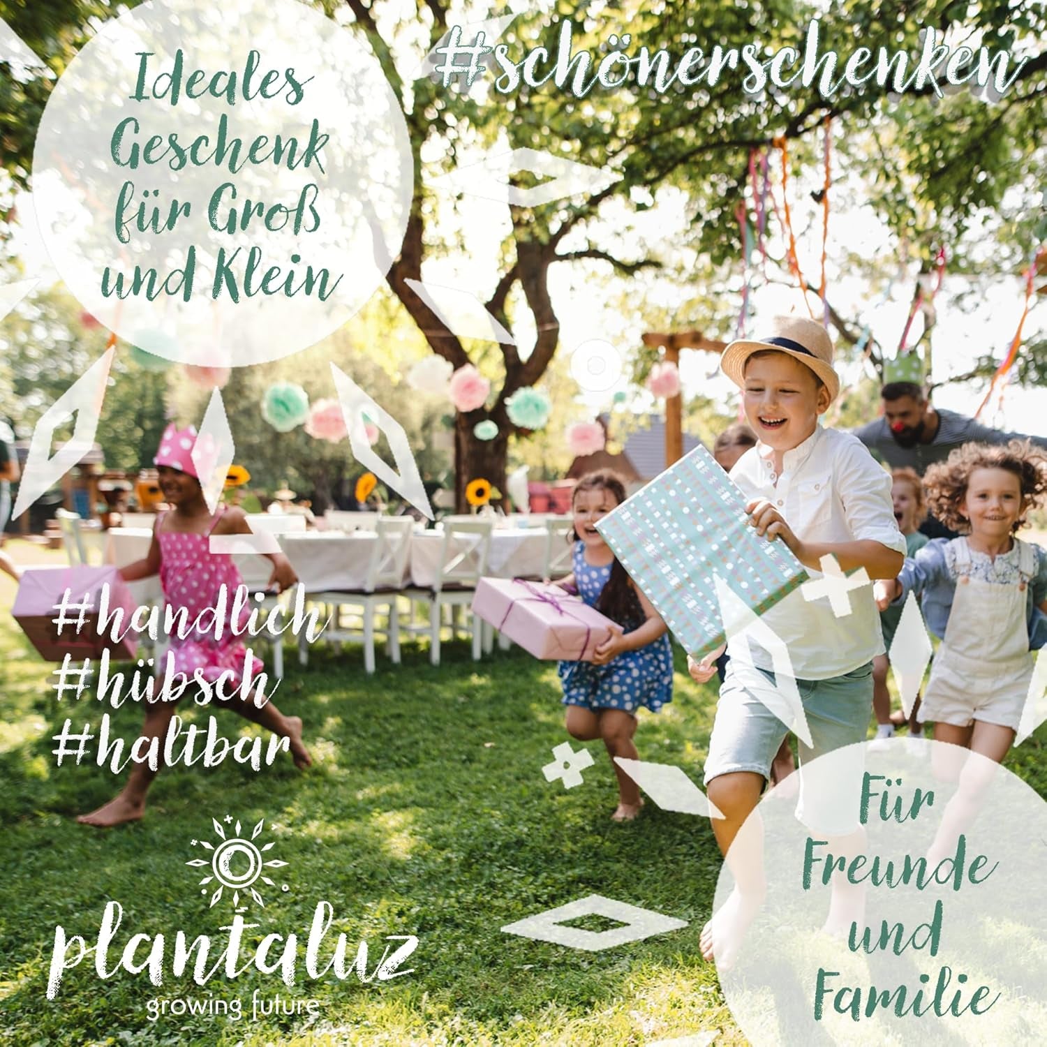 Plantaluz Prémiová sada organických semen P03 – Sada semen kulinářských a léčivých rostlin pro zahradu, balkón a interiér – vč. FSC sadební tyčinky – volná opylovaná, neošetřená organická semena bez GMO