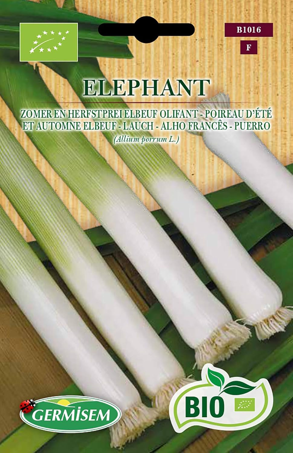 Lauch ELEPHANT