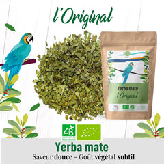 ORIGEENS BIO YERBA MATE TEA 200G - Originalul I Bio Yerba Mate neprăjită, frunze, fără tulpini, praf și firimituri I Băutură energizantă și detoxifiantă