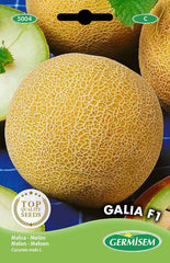 Melone GALIA F1