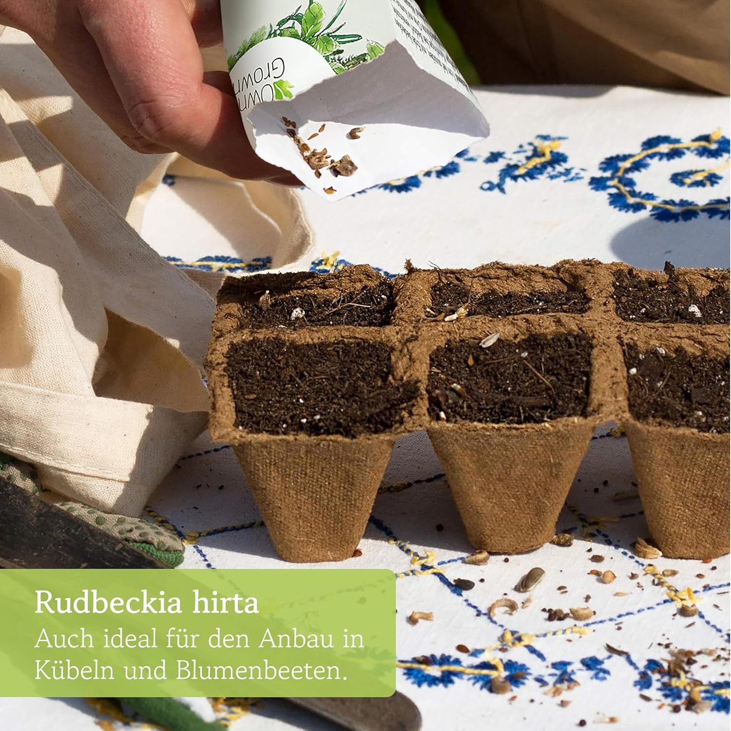 Semena echinacey: Prémiová semínka žluté echinacey pro asi 20 kvetoucích rostlin echinacey – Semena rudbeckie – Hardy Rudbeckia – Trvalky Echinacea – Hardy trvalky od OwnGrown