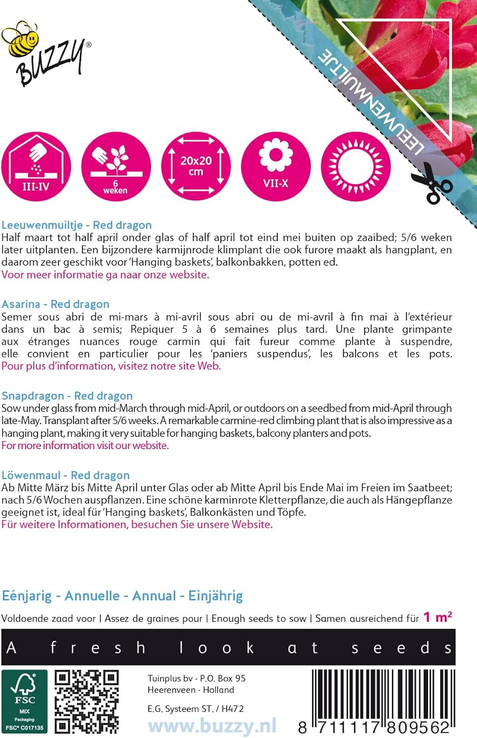 Hučící popínavé květiny, červený drak Asarina