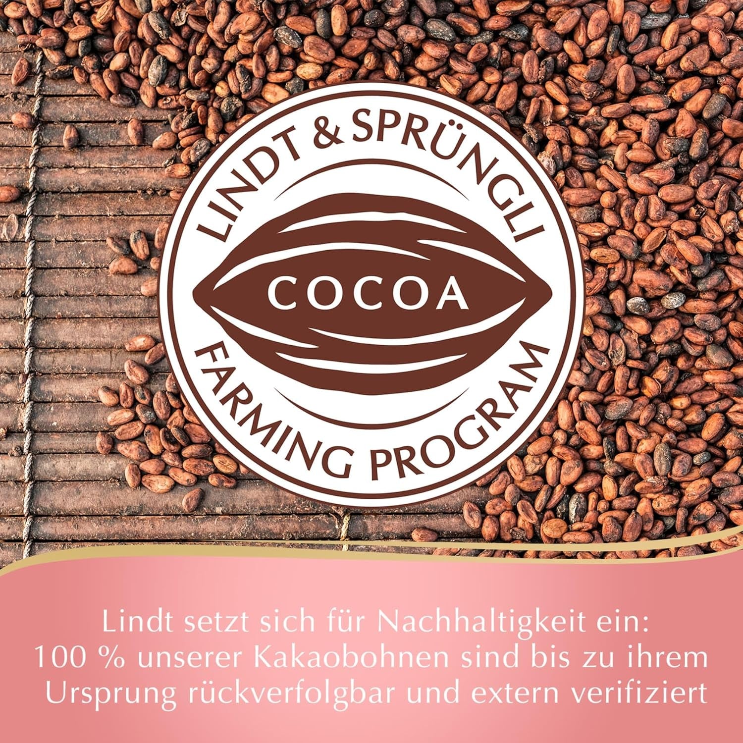Lindt Schokolade Choco-Karotten | 2 X 81 G | 6 X Schokoladen-Karotten | Vollmilch-Schokolade in Karottenform Mit Fein Gemahlenen Haselnüssen | Oster Schokolade Für Kinder | Schokoladengeschenk Naty Shop