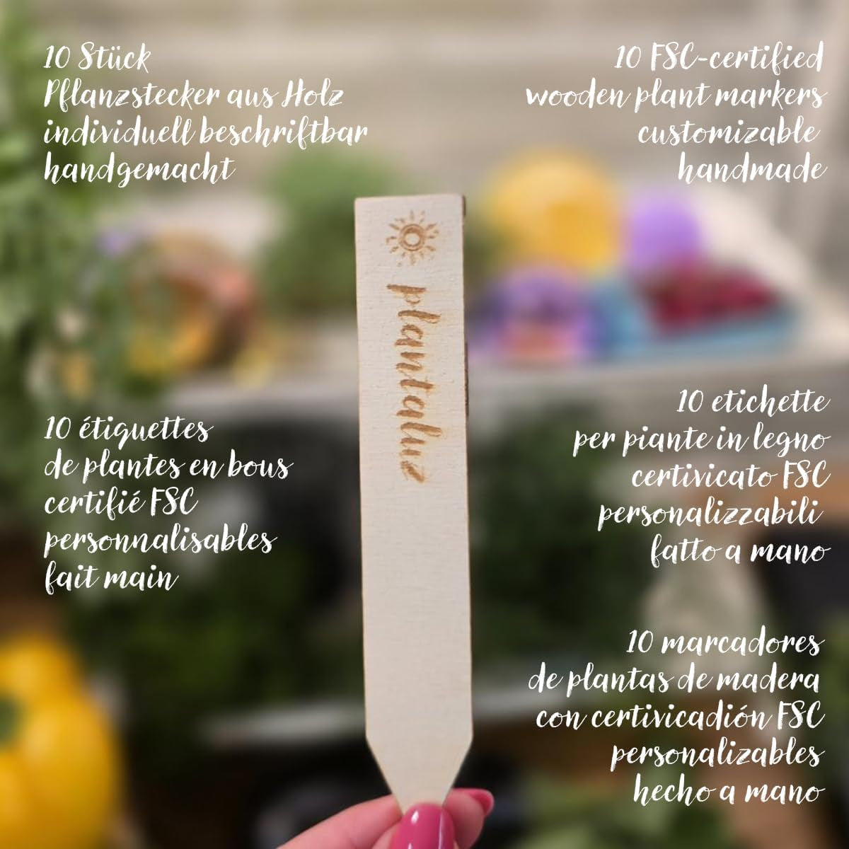 Plantaluz Prémiová sada organických semen P03 – Sada semen kulinářských a léčivých rostlin pro zahradu, balkón a interiér – vč. FSC sadební tyčinky – volná opylovaná, neošetřená organická semena bez GMO