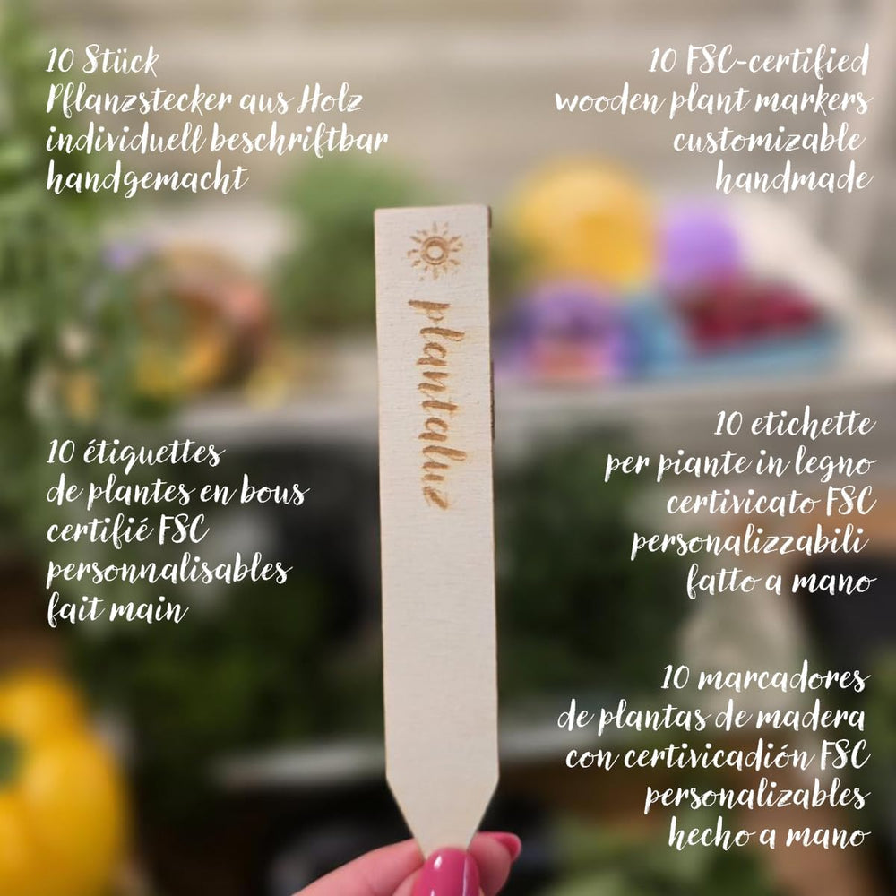 Plantaluz Prémiová sada organických semen P03 – Sada semen kulinářských a léčivých rostlin pro zahradu, balkón a interiér – vč. FSC sadební tyčinky – volná opylovaná, neošetřená organická semena bez GMO