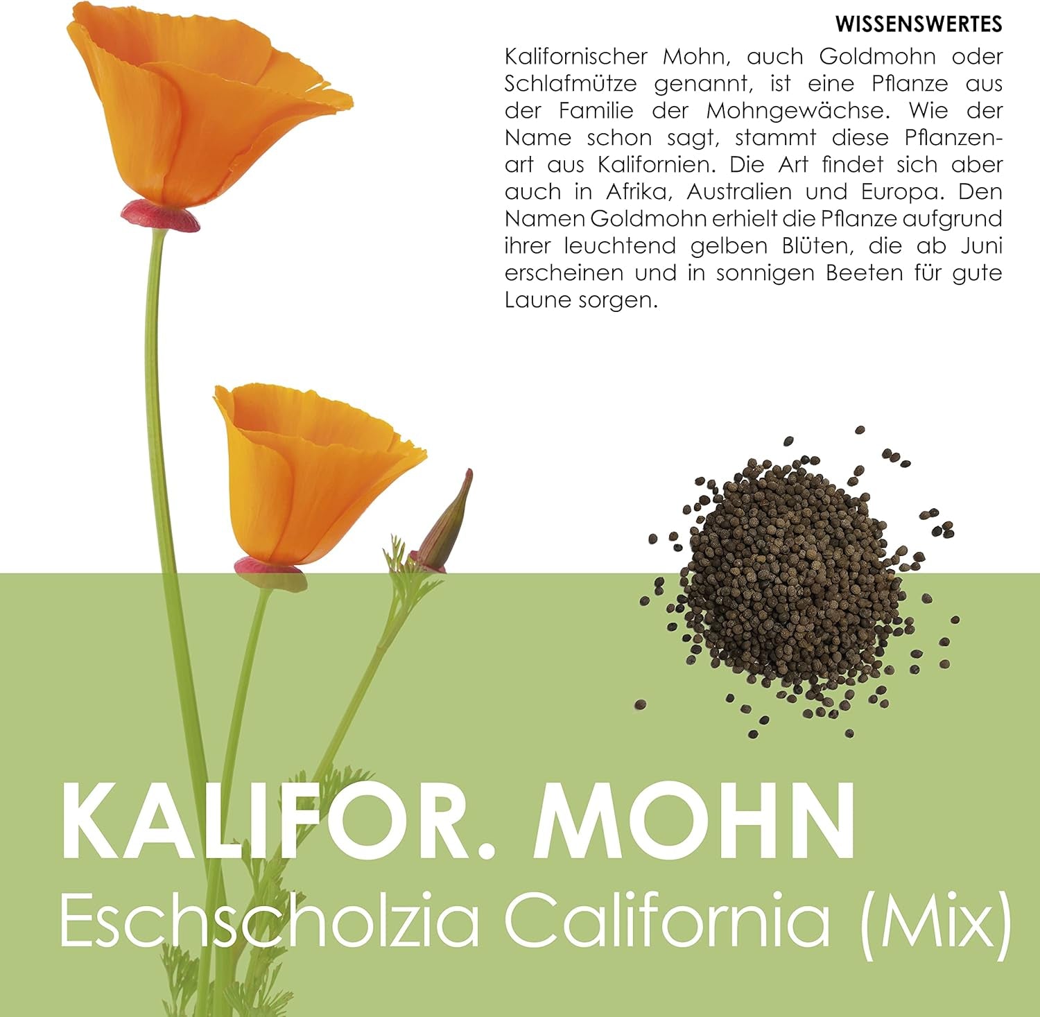 Kalifornská směs máku (Eschscholzia californica) - Krásně kvetoucí mák s dlouhou dobou květu pro barevnou květinovou louku (California Poppy)