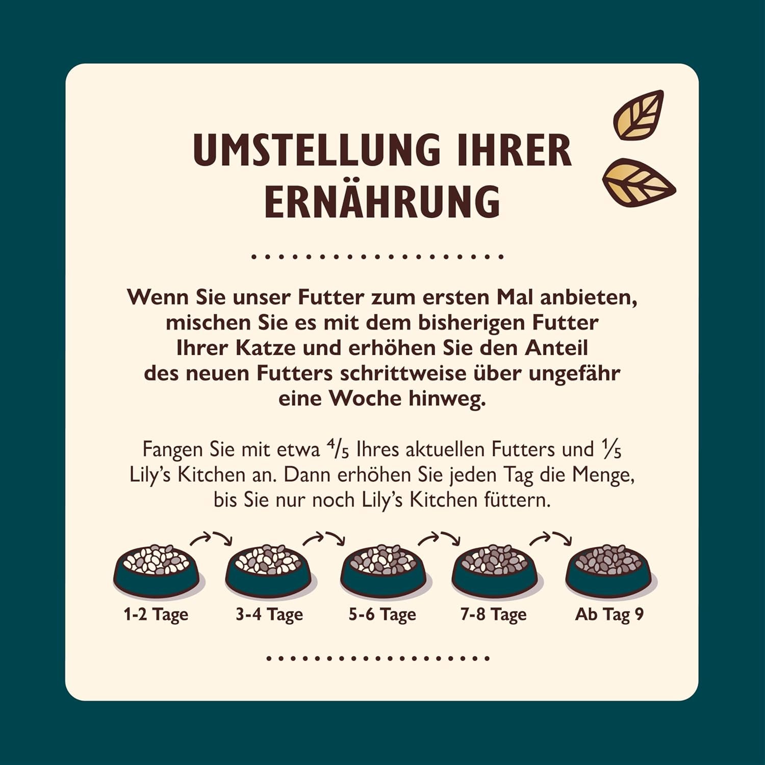 Lily’s Kitchen Aus Natürlichen Zutaten hergestellt Zerkleinerte Filets in Gelee mit Hühnchen und Lachs Ausgewachsen Nassfutter für Katzen 70 g Dose