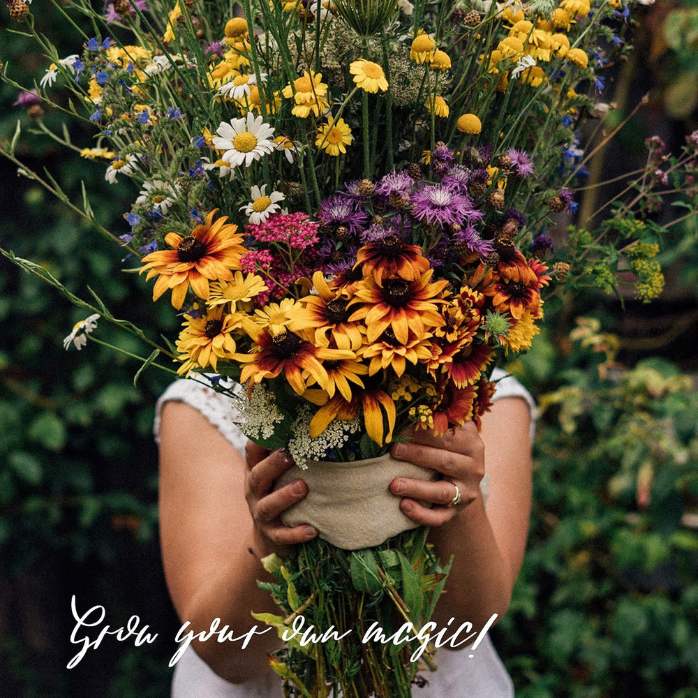 Naše oblíbené rostliny: Trvalky a letní květiny pro milovníky květin (organické) - Dárková sada semínek se 6 krásnými odrůdami pro divokou květinovou explozi - udělá vám radost!