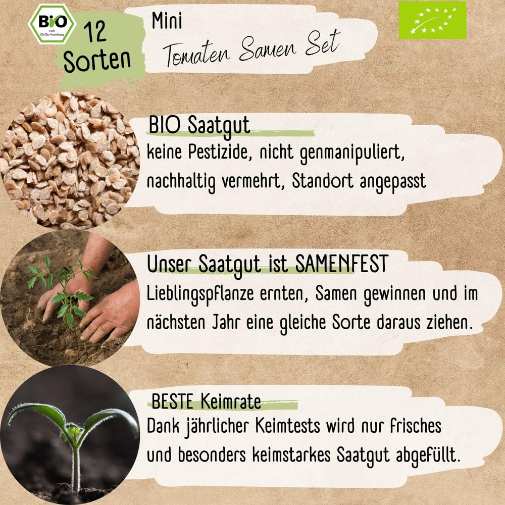 Sada semen organických mini rajčat: 12 odrůd volně pěstovaných rajčat | Vzácný a rodinný koktejl, cherry a biftek rajčatová semínka | Semena zeleniny na balkon, vyvýšený záhon, zahradu a dárek | Loveplants