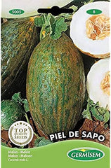 Melone GALIA F1