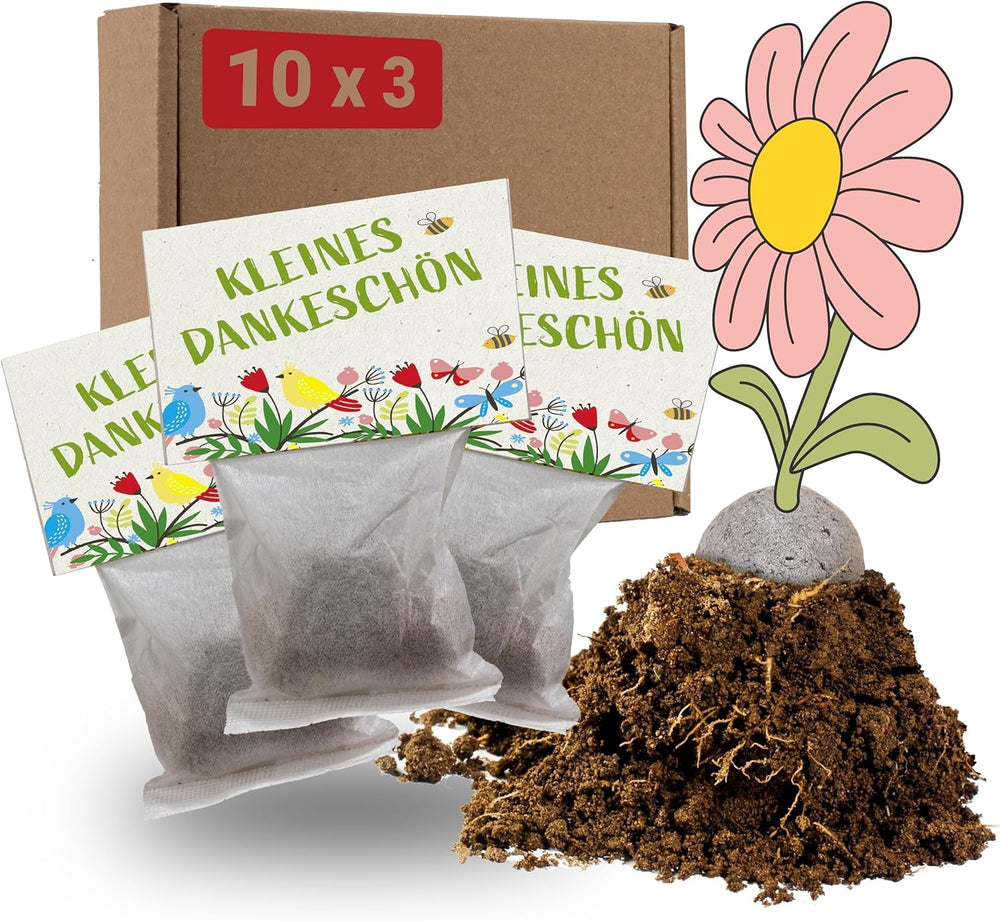 LouMaxx Set de bombe cu semințe lucrate manual 10x3, cadou cu bombă cu semințe, semințe de flori ca favoruri de petrecere, semințe sustenabile pentru cadouri de petrecere pentru copii, bile de plantare ecologice cu peste 50 de tipuri de semințe de flori