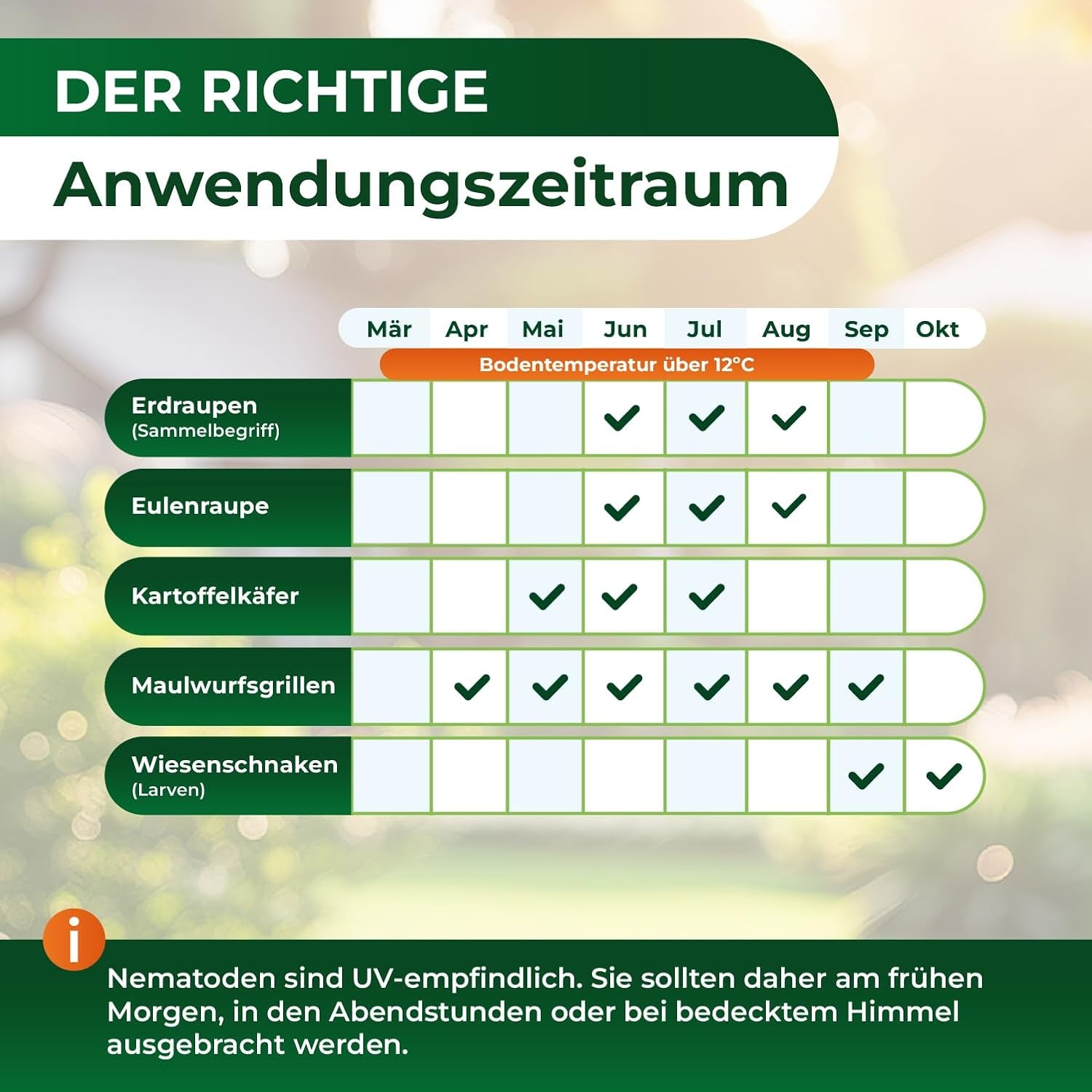 Legona Sc-Nematoden Zur Bekämpfung Von Maulwurfsgrillen - 50 Mio. Für 100M² / 250L Blumenerde/Bio Schädlingsfrei Gießmittel Für Rasen Und Beet