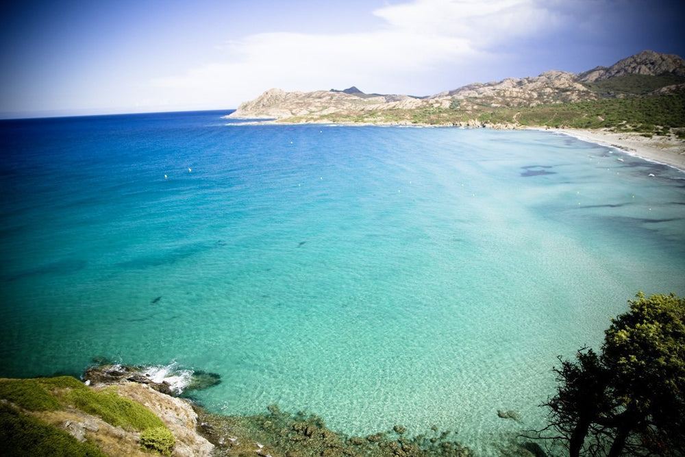 Kaffeespezialität Aus Mittelamerika - Nicaragua, Dem Land Der tausend Vulkane (1000 Gramm, Ganze Bohne) - Länderkaffee - Spitzenkaffee - Säurearm - Schonend Und Frisch Geröstet