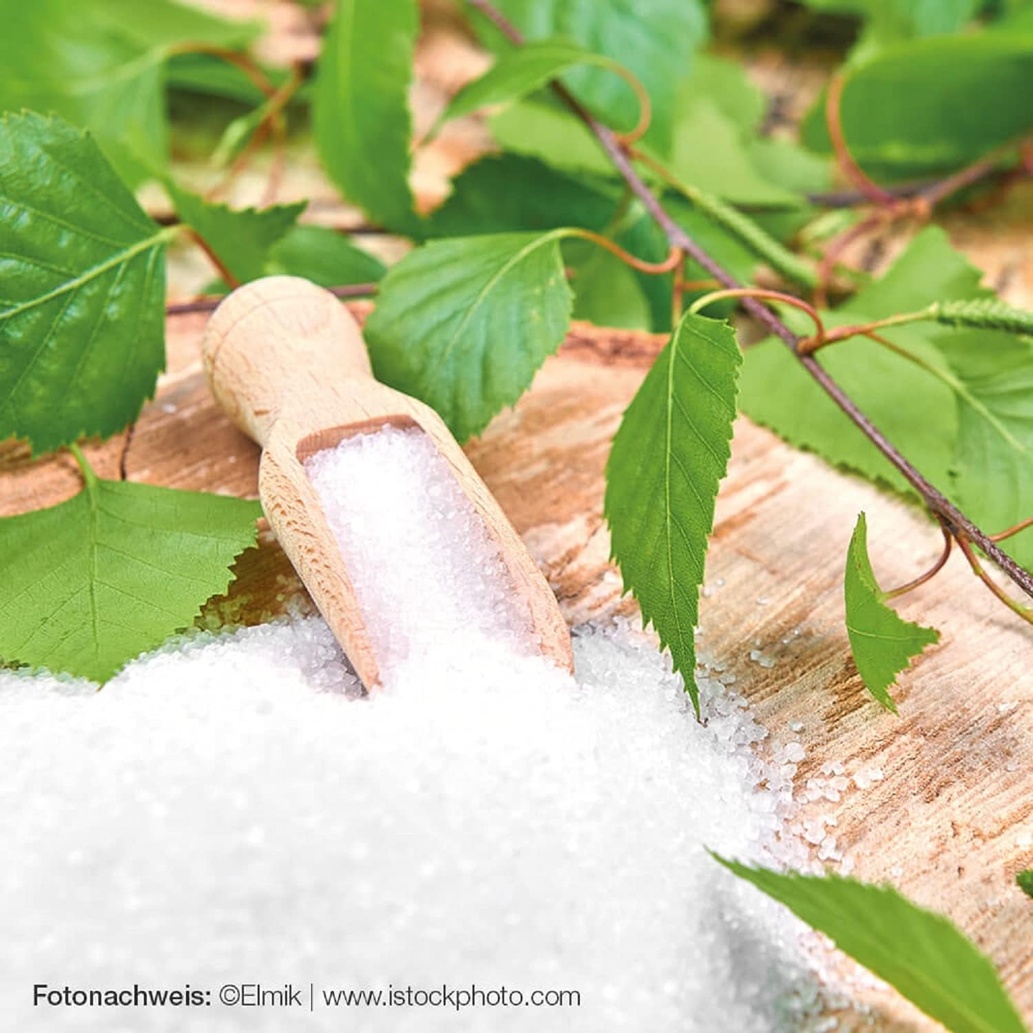 Raab Vitalfood Premium Birkenzucker, Xylit, Vegan, 1:1 Zucker-Alternative, Süßungsmittel, Zahnfreundlich, Vorratspack, 750 G sladidla Naty Shop