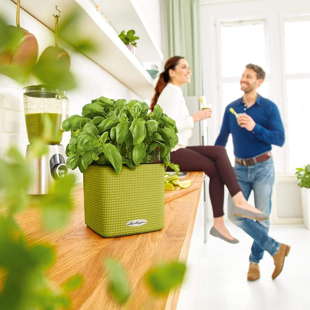 LECHUZA CUBE Culoare 16 gri ardezie 13584