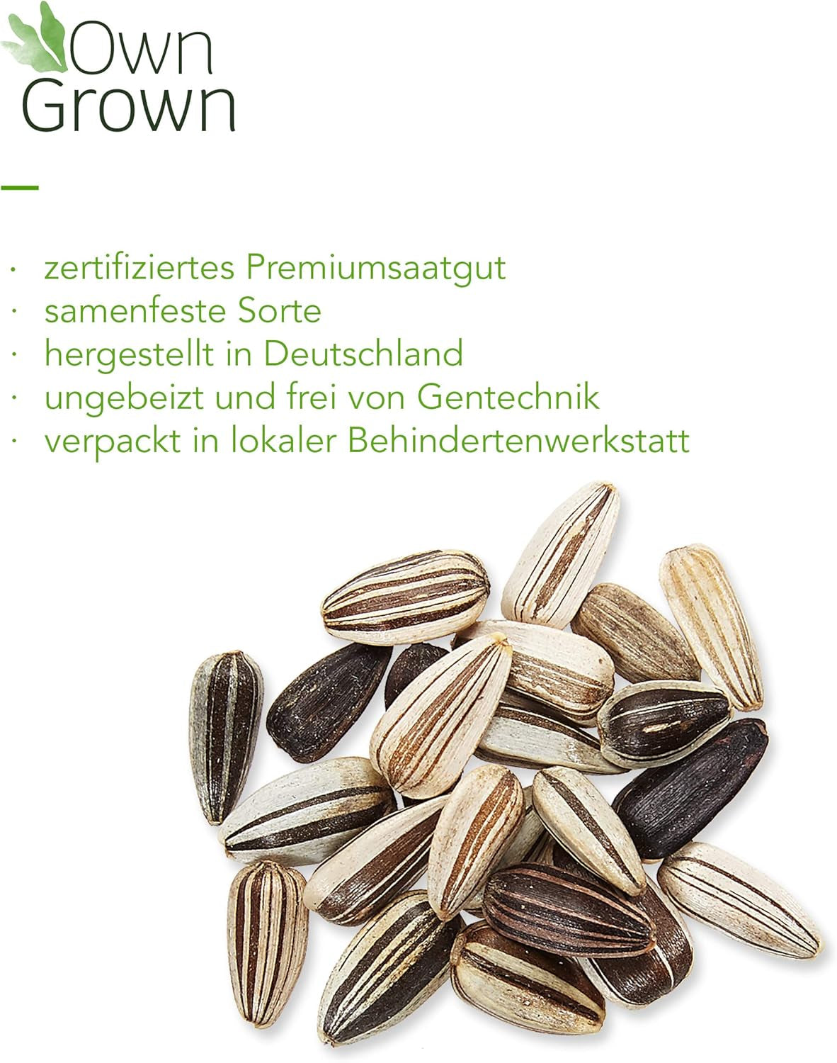 Slunečnicová semínka žlutého disku (Helianthus annuus): Prémiová slunečnicová semínka, slunečnicová semínka pro pěstování asi 20 slunečnicových rostlin – semena květin přátelská k hmyzu z vlastních pěstovaných rostlin